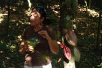 Besuch einer Kakao-Plantage