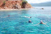 Schnorcheln im Nationalpark