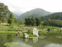 Botanischer Garten von Mérida