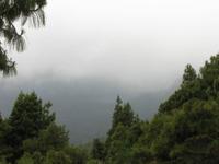 Laguna Negra (im Nebel)