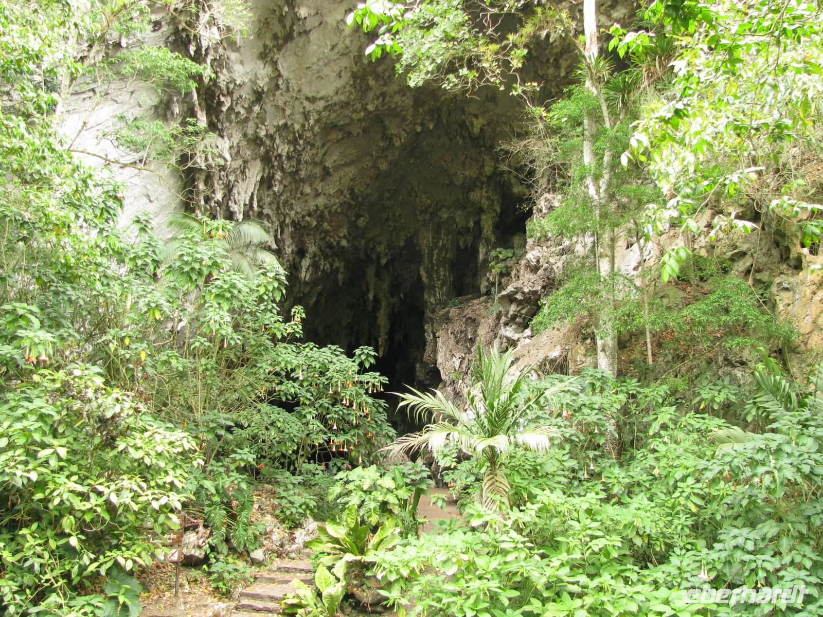Guácharo-Höhle