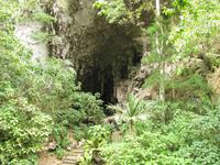 Guácharo-Höhle