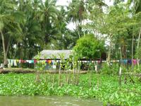 Überall zu sehen: Wäscheleinen