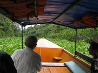 Bootsfahrt auf dem Orinoco