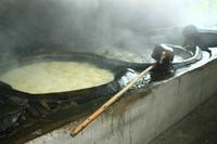 Zuckerrohrverarbeitung