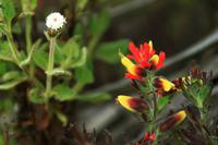 Unterwegs in den Anden