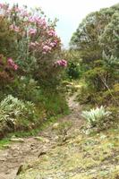 Auf Pferden zur Laguna Negra