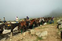 Auf Pferden zur Laguna Negra