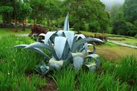 Im Botanischen Garten von Merida