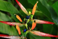 Im Botanischen Garten von Merida