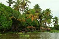 Im Orinoco Delta
