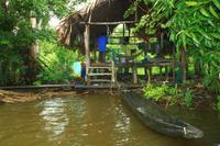 Im Orinoco Delta