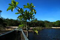 Canaima Nationalpark