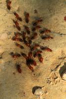 Canaima Nationalpark