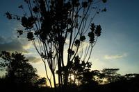 Canaima Nationalpark