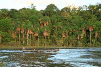 Canaima Nationalpark