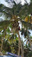 Cepe bei Choroni - Karibik - Rundreise Venezuela – Natur und Abenteuer pur