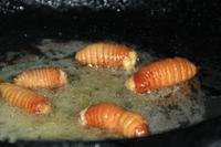 Das Abendessen