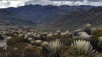 Die Anden - Rundreise Venezuela – Natur und Abenteuer pur
