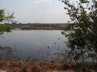 El Cedral