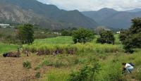 El Vigia -  Die Anden - Rundreise Venezuela – Natur und Abenteuer pur