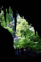 Guacharo Höhle