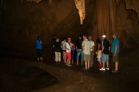 Guacharo Höhle