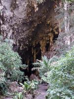 Guacharo-Höhle