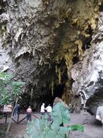 Guacharo-Höhle