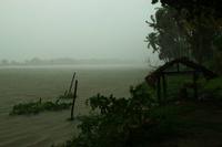 Im Orinoco Delta