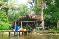 Im Orinoco Delta