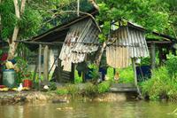 Im Orinoco Delta