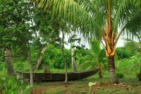 Im Orinoco Delta