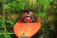 Im Orinoco Delta