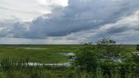 Los Llanos - Rundreise Venezuela – Natur und Abenteuer pur
