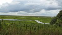Los Llanos - Rundreise Venezuela – Natur und Abenteuer pur