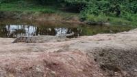 Los Llanos - Rundreise Venezuela – Natur und Abenteuer pur