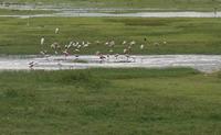 Los Llanos - Rundreise Venezuela – Natur und Abenteuer pur