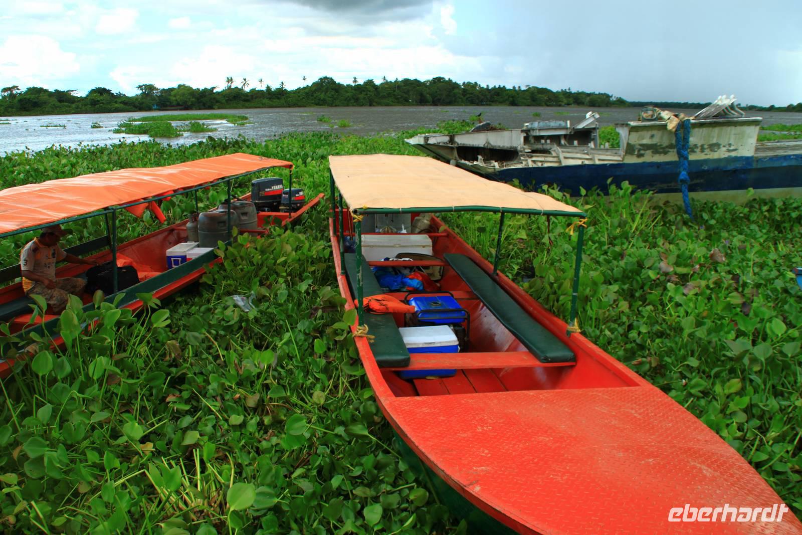Orinoco Delta