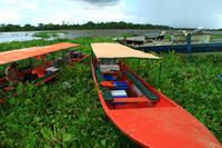 Orinoco Delta