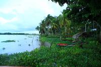 Orinoco Delta