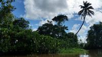 Orinoco-Delta  -  Rundreise Venezuela – Natur und Abenteuer pur