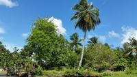 Orinoco-Delta  -  Rundreise Venezuela – Natur und Abenteuer pur