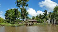 Orinoco-Delta  -  Rundreise Venezuela – Natur und Abenteuer pur