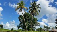 Orinoco-Delta  -  Rundreise Venezuela – Natur und Abenteuer pur
