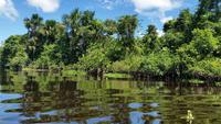 Orinoco-Delta  -  Rundreise Venezuela – Natur und Abenteuer pur