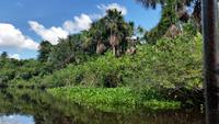 Orinoco-Delta  -  Rundreise Venezuela – Natur und Abenteuer pur