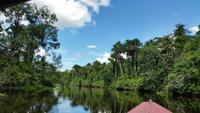 Orinoco-Delta  -  Rundreise Venezuela – Natur und Abenteuer pur