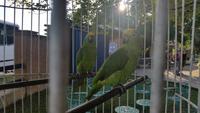 Posada Dona Barbara - Rundreise Venezuela – Natur und Abenteuer pur