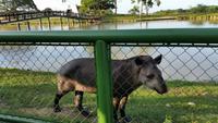Posada Dona Barbara - Rundreise Venezuela – Natur und Abenteuer pur